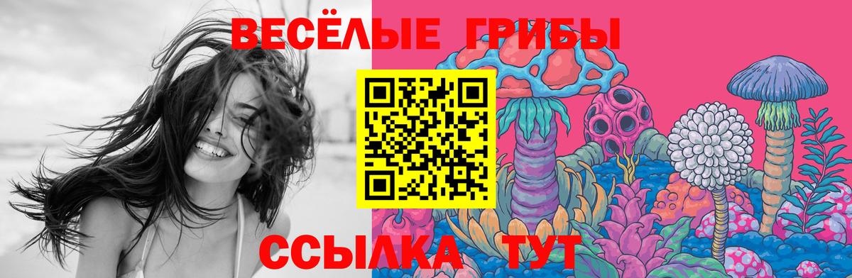 Галлюциногенные грибы прущие грибы  Вход с VPN  Тавда 